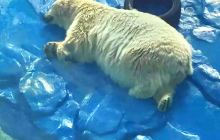 武夷山极地海洋公园