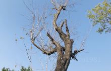 江南蚕桑博物馆