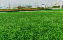 武汉学院(大学城校区)-博物馆