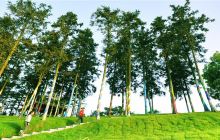 风车谷童话小镇