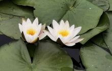 武汉工商学院黄家湖校区-图书馆