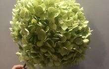 如意花坊植物园