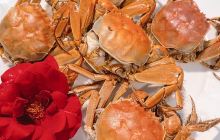 文成丰农现代生态园