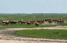 延寿蚂蜒河国家湿地公园