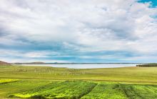 库伦天鹅湖景区