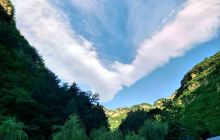 千佛山森林公园