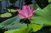 我的幻想世界谭龙作品展