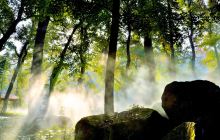 安福武功山温泉山庄