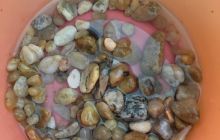 小石岛钓鱼赶海公园