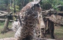 菜阳河国家森林公园