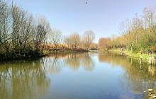 新江湾湿地生态观鸟拍鸟基地