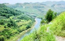 大坡岭省级森林公园