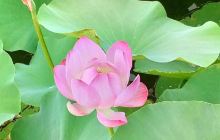 龙湖国家湿地公园