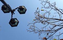 肥利喇亚美打大马路