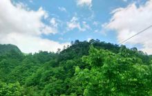 阳坝自然风景区