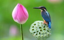 宜兴规划展示馆