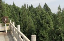 红樱桃生态园