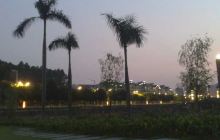 狮山公园(狮山环路)