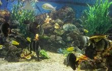 红旗小区空中巴比伦花园