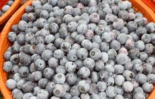 太华天谷养生度假景区