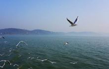 无锡鼋头渚度假岛