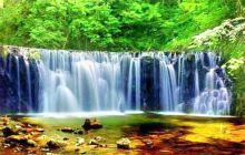 国家吊水壶森林公园