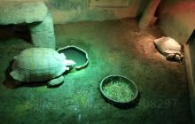 海底世界水族馆