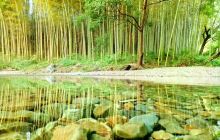 月亮湾