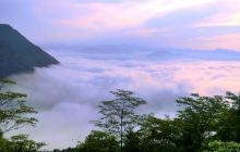 陈峭景区