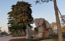 南头镇文体修身广场