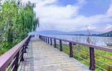 抚仙湖北岸湿地