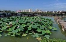 亭湖区基督教城北教堂