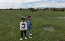 特克斯河湿地