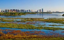 金河湾湿地植物园