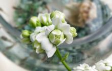 白石湾海滨浴场