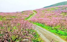 桂阳桃花溪风景区