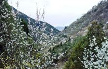 爱尚花海主题乐园（爱尚庄园）