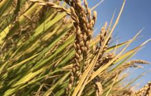 海宁市兴福禅寺