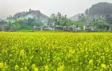 金海雪山