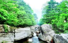 通天河国家森林公园