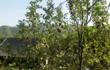 洛阳有生工矿游景区