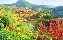 从化大金峰百花果景区