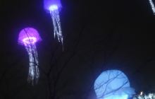 3D艺术节