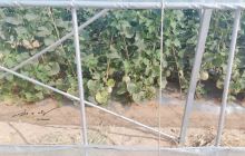 庙庙湖自然生态区