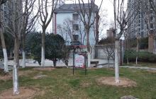 项里街道安全文化广场