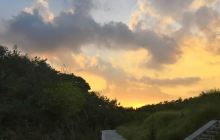 三联南海林苑景区