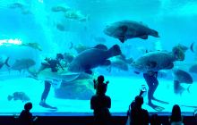 盛贝特海洋水族馆