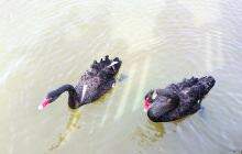 保定生态园海洋馆