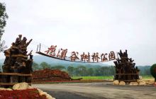 花溪谷树桥公园