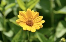 秦皇岛市海滨林场